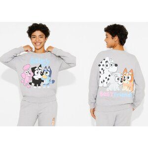 Women's Bluey and Friends Graphic Sweatshirt - Heather Gray - Size Small Cozy